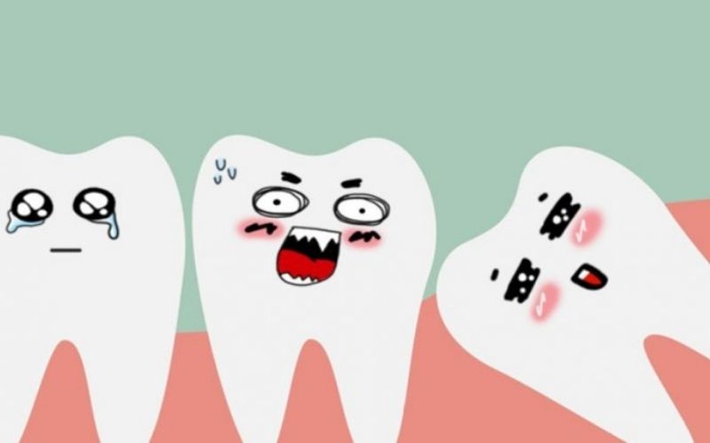 Răng số 7 còn được gọi là răng cối số 7, là răng nằm giữa trong bộ 3 răng cối trong hàm răng vĩnh viễn.