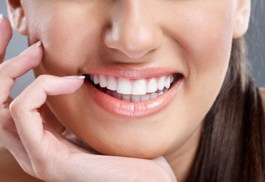 Răng nanh đóng vai trò quan trọng trên cung hàm