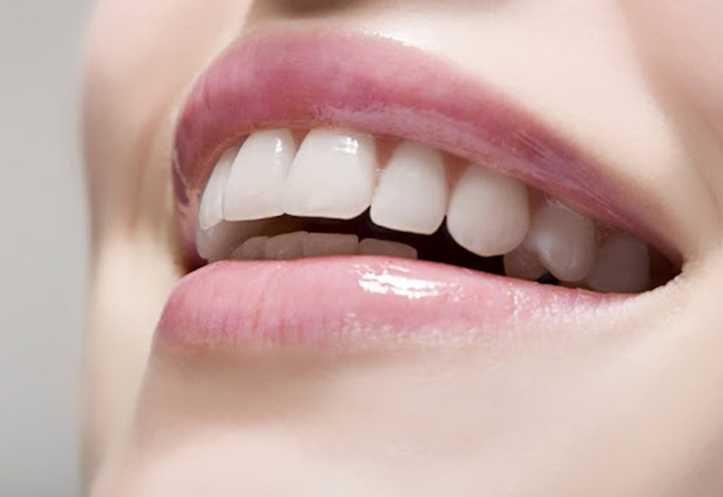 Răng số 3 có cả đặc điểm của răng cửa lẫn răng cối