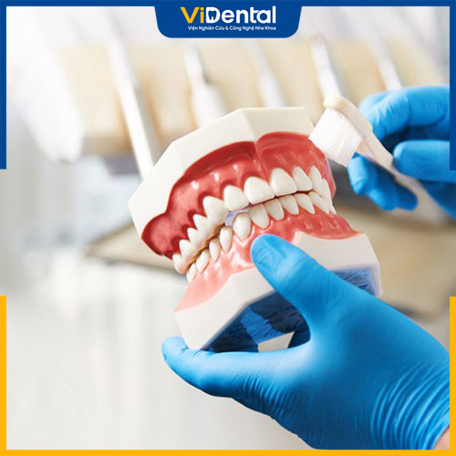 Trồng răng giả tháo lắp để khắc phục tình trạng mất răng