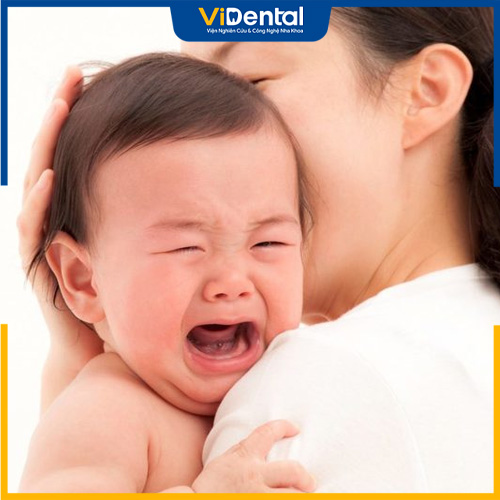 Trẻ bị thiếu Menaquinone ảnh hưởng đến quá trình mọc răng