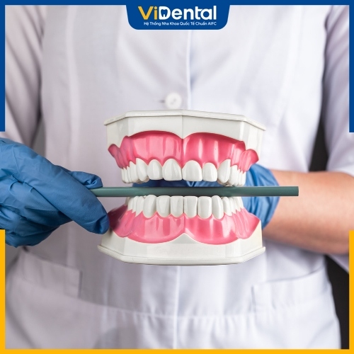 Lưu ý chăm sóc răng miệng cẩn thận sau khi nhổ răng cấm