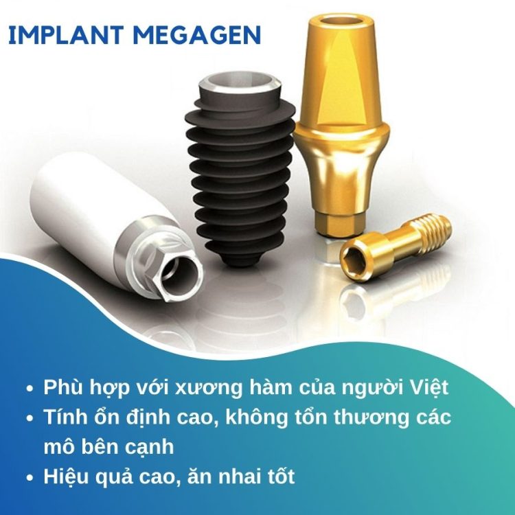 Implant megagen 1