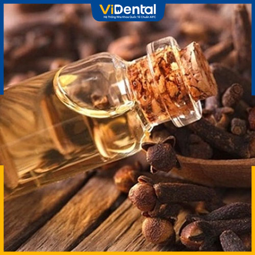 Tinh dầu đinh hương là cách trị nhức răng ban đêm được ưa chuộng