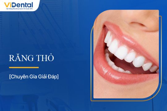 Răng Thỏ: Đẹp Hay Xấu? Tất Tần Tật Thông Tin Bạn Cần Biết